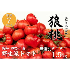 【ふるさと納税】【先行予約／2027年2月下旬から発送】四万十育ち「狼桃」 糖度7度以上 無選別ミニミニ（約1.5kg） Fdf-A13 フルーツトマト 贈答 ギフト プレゼント トマト とまと 野菜 数量限定 期間限定