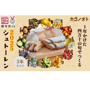 yӂ邳Ɣ[Łzy2025Ns\z1Nl\̏{łVg[2025 3{Zbg@~ NX}X v[g XC[c َq P[L p JSmIg^Ikg-Z105