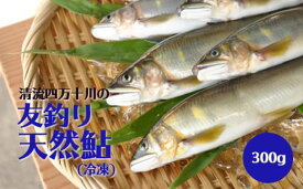 【ふるさと納税】Qdr-51　2023年初物！四万十川中流域の「友釣り天然鮎」300g(4〜6匹) ／あゆ アユ 魚 魚介 川魚 塩焼き