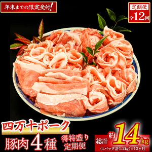 yӂ邳Ɣ[Łzy2026N1疈͂zuh 聚  (1.2kg×12) Rgbn-B01 Еz l\|[N uh ؓ  Ⓚ Yؓ Ԃ 