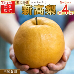 yӂ邳Ɣ[Łzʌ V 4kg (5`6) e_ l\炿 V Ckn-A004  }n n ̉l Ȃ iV  񂱂Ȃ t[c fU[g ʕ { K L H V V