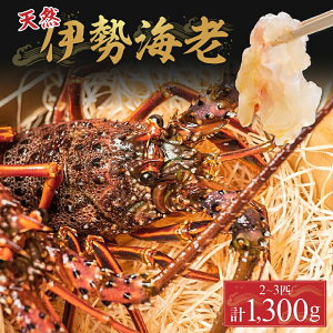 yӂ邳Ɣ[Łz`Il\Y̓VRɐCV2`3Civ1300gj^Dns-Z15 CN  ɐCV ɐGr  CV Gr Mtg 