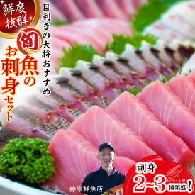 【ふるさと納税】 Efs-01 旬な海の幸をお届け！大将のおまかせ刺身2から3種類盛！刺し身 海鮮 鮮魚 海鮮丼 魚 刺身セット お魚 さしみ 魚介類　刺身盛り合わせ、冷蔵