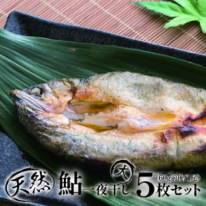 yӂ邳Ɣ[Łzl\̓VR TCY銱i5Zbgj Esg-26  A   싛 Ă  Ђ CN