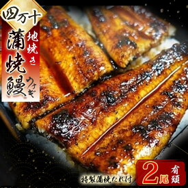 【ふるさと納税】 四万十地焼き 蒲焼き鰻 (2尾セット) うなぎ ウナギ たれ 入り 小分け 惣菜 国産 冷凍 土用 丑の日 Esg-19 国産 うなぎ 蒲焼 鰻 塩鰻 ウナギ