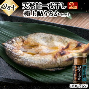 yӂ邳Ɣ[Łzɏイ邩i1rjƈ銱i2jZbg Esg-21  A ̂Ђ炫 ̂Ђ炫   싛 Ă  Ђ CN h ɂ邩 邩 ܂  yH