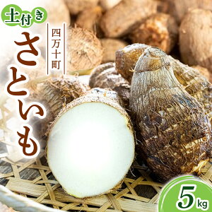 【ふるさと納税】四万十町産 土付き さといも 5.0kg /Fiz-06 農産物 新鮮 里芋 里いも 野菜