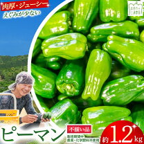 楽天市場】ピーマン 肉厚（野菜・きのこ｜食品）の通販