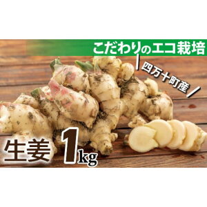 yӂ邳Ɣ[Łzy\tz~lLxȃGR͔|̐I1kg ^Fms-20 傤 WW[   e