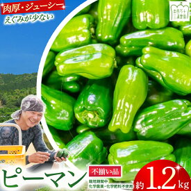 【ふるさと納税】【不揃い品】肉厚ジューシー! 栽培期間中化学農薬・化学肥料不使用のえぐみ少ないピーマン1.2kg ／Fms-11 農産物 新鮮 ぴーまん ピーマン 肉厚ピーマン 野菜 大量