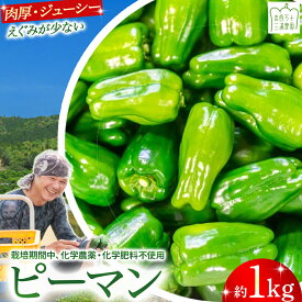 【ふるさと納税】 肉厚ジューシー！栽培期間中化学農薬・化学肥料不使用のえぐみ少ないピーマン1kg ／Fms-13 農産物 新鮮 ぴーまん ピーマン 肉厚ピーマン 野菜 大量