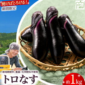 【ふるさと納税】【予約受付】【期間限定】 焼いてトロける！三浦農園のトロなす1kg 栽培期間中農薬・化学肥料不使用 ／Fms-15 農産物 新鮮 ナス なす 茄子 焼きナス 野菜 大量 農薬不使用 化学肥料不使用