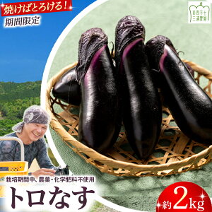 yӂ邳Ɣ[Łz yԌz ĂăgIOY_̃gȂ2kg ͔|Ԓ_Ew엿sgp ^Fms-16 _Y VN iX Ȃ ֎q ĂiX   _sgp w엿sg