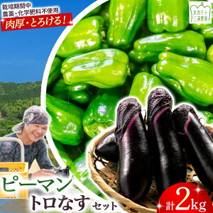 yӂ邳Ɣ[Łz yԌz s[}EgȂZbg 2kgie1kgj ͔|Ԓ_Ew엿sgp ^Fms-17 _Y VN ҁ[܂ s[} s[} iX Ȃ ֎q ĂiX  