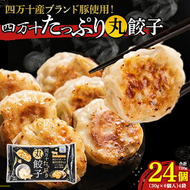 【ふるさと納税】四万十産ブランド豚使用！四万十たっぷり丸餃子 4袋（30g×6個入)合計720g ／Qak-43 餃子 丸餃子 冷凍餃子 生餃子 冷凍生餃子 国産餃子 ブランド豚