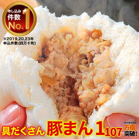 【ふるさと納税】四万十町産ブランド豚のみ使用！道の駅 あぐり窪川の具だくさん豚まん Qak-B01