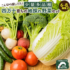 【ふるさと納税】 こんなの探してた！少量多品種 四万十育ちの地採れ野菜セット Qjs-A21 野菜便 やさい 国産野菜 季節 フレッシュ 旬 しょうが にら ピーマン トマト きゅうり せり しいたけ ほうれん草 菜の花 えんどう豆 なす みょうが かぼちゃ 大根