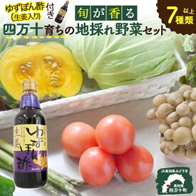【ふるさと納税】Qjs-05 特製ポン酢つき！安心安全の地どれ野菜【旬が香る7種セット】 野菜便 やさい 国産野菜 季節 フレッシュ 旬