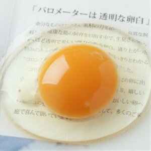 【ふるさと納税】Gbn-03 植物性のエサしか食べさせないから違いが出る!卵 6個×5P