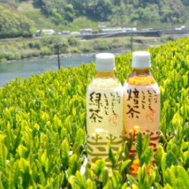 【ふるさと納税】Qdr-32 しまんと緑茶・ほうじ茶10本お試しセット