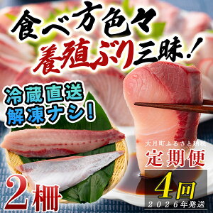 【ふるさと納税】【定期便4回】冷蔵 養殖ぶり 2柵 セット|鰤 ブリ 刺身 生食用 冷蔵直送 解凍なし 朝〆 海鮮 魚介 鮮度抜群 人気 小分け 個包装 贈答 ギフト おすすめ 高知県 大月町 国産 送