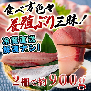 yӂ邳Ɣ[Łzym 匎Yz݂̃t@[Ԃi2{Zbgj