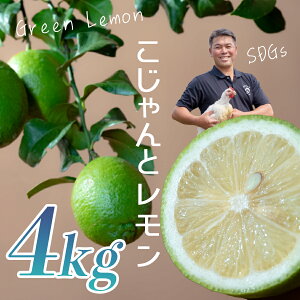 yӂ邳Ɣ[Łzƃ 4kgbY m 匎  EG  t[c O[ CG[ ʎ k VN r^~C ̂ꂽ tbV G߂̉ʕ Yn