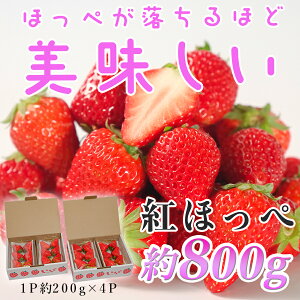 yӂ邳Ɣ[Łzym 匎Yzgق؁@200g×4pbNb 800g ʕ t[c  C`S   {  ̂ VN Ԍ J Yn p p m