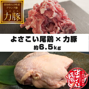 yӂ邳Ɣ[Łzym 匎̃uhz悳{×͓؁@6.5kgZbg