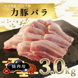 【ふるさと納税】【高知県 大月町産ブランド豚】力豚バラ　焼き肉用 3kg