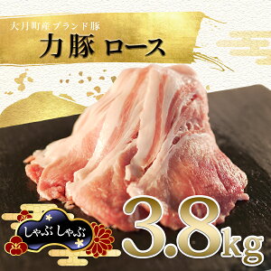 yӂ邳Ɣ[ŁzY ؓ [X Ԃ3.8kg (200g×19P)b͓  g₷ uh ₵ԃT_ ؂  Z ^pbN Ⓚ |[N e  ȒP 