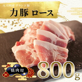 【ふるさと納税】【高知県 大月町産ブランド豚】力豚ロース　焼き肉用800g