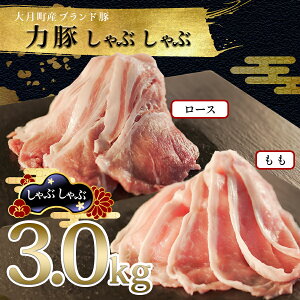 yӂ邳Ɣ[Łzym 匎Yuh؁z͓؂Ԃ3kgZbg