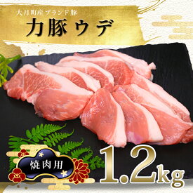 【ふるさと納税】【高知県 大月町産ブランド豚】力豚ウデ焼き肉用1.2kg