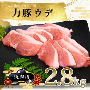 yӂ邳Ɣ[Łzym 匎Yuh؁z͓؃EfĂp2.8kg