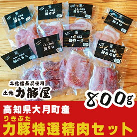 【ふるさと納税】高知県大月町産 力豚 特選精肉セット　8種×100g