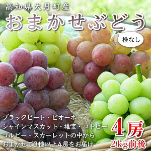 yӂ邳Ɣ[Łzym 匎YzcԂǂ@ȂuhE4[(2kg)