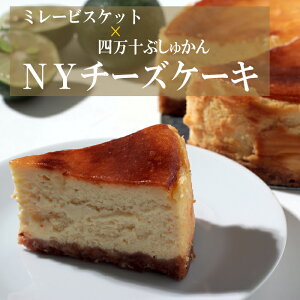 yӂ邳Ɣ[Łz~[rXPbgƎl\ԂォNY`[YP[L
