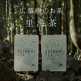 【ふるさと納税】【高知県 大月町産】広葉樹のお茶“里海茶”