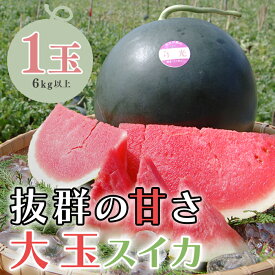 【ふるさと納税】【高知県 大月町産】抜群の甘さ！ねばねばファームのスイカ