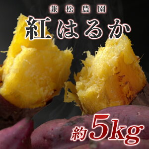 yӂ邳Ɣ[Łzym 匎Yz_@g͂邩@5kg