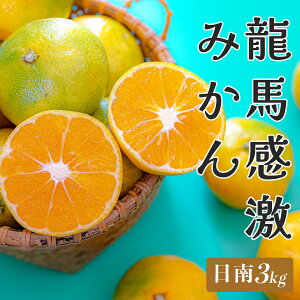 yӂ邳Ɣ[Łzym 匎YzR[t[c_ n݂()@3kg