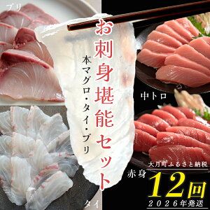 yӂ邳Ɣ[Łzy 12z{}OE^CEu hg\Zbg