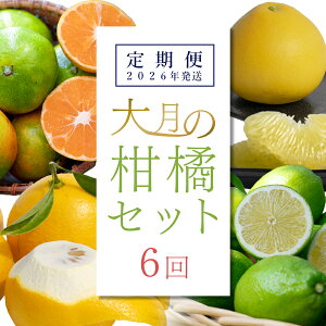 yӂ邳Ɣ[Łzy6z匎̊kZbg