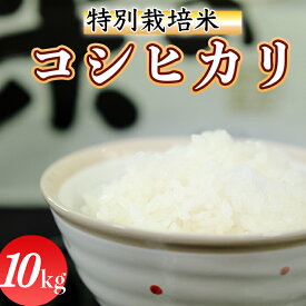 【ふるさと納税】令和5年産 (精白米)　特別栽培米　こしひかり10kg