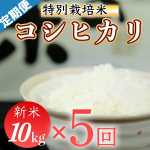 yӂ邳Ɣ[Łzߘa7NY ()@ʍ͔|ā@Ђ10kg ×5z@(1/j