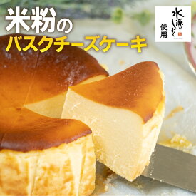 【ふるさと納税】特別栽培米「水源のしずく」使用！米粉のバスクチーズケーキ