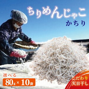 �y�ӂ邳�Ɣ[�Łz ����߂񂶂Ⴑ �J�`�� 80g×10�� �V�R ����߂� ���Ⴑ ������ �`������ �W���R ���܂�� ���炷 �V�N ���炷���� ��䥂� �V���X �V������ ��� �C�N ����� ���L �� ���� ��