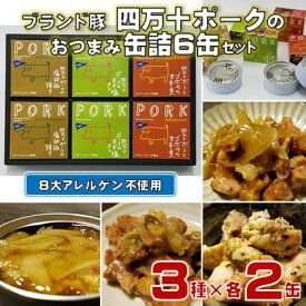 【ふるさと納税】 ブランド豚 四万十ポーク おつまみ 缶詰 6缶 セット 3種×各2缶 豚肉 豚 防災 災害 備蓄 非常食 おかず プレゼント ギフト 贈答用 贈り物 お中元 お歳暮 肉 ポーク 酒の肴 高知県 黒潮町 アレンジ ふるさと納税缶詰 ふるさと納税防災