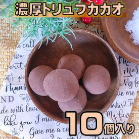 【ふるさと納税】濃厚 トリュフ カカオ （黒潮町産 天日塩 使用） 10個入り［1646］